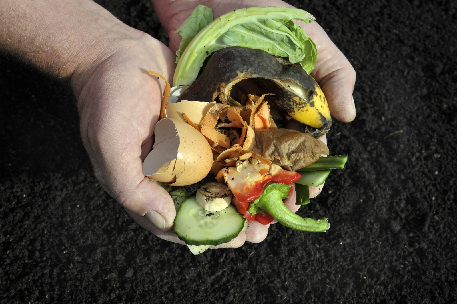 Composting Dos and Don’ts